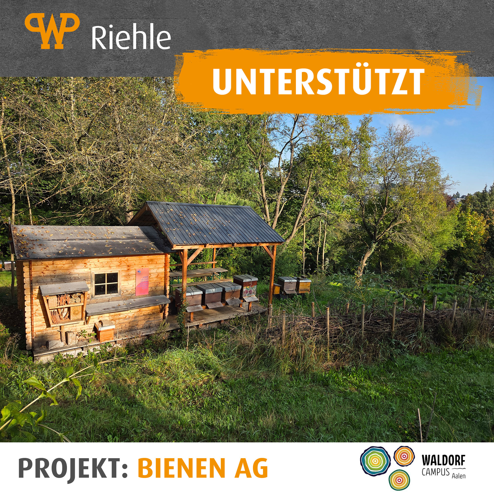 Rückblick 1 Jahr Bienen AG Rückblick 1 Jahr Bienen AG