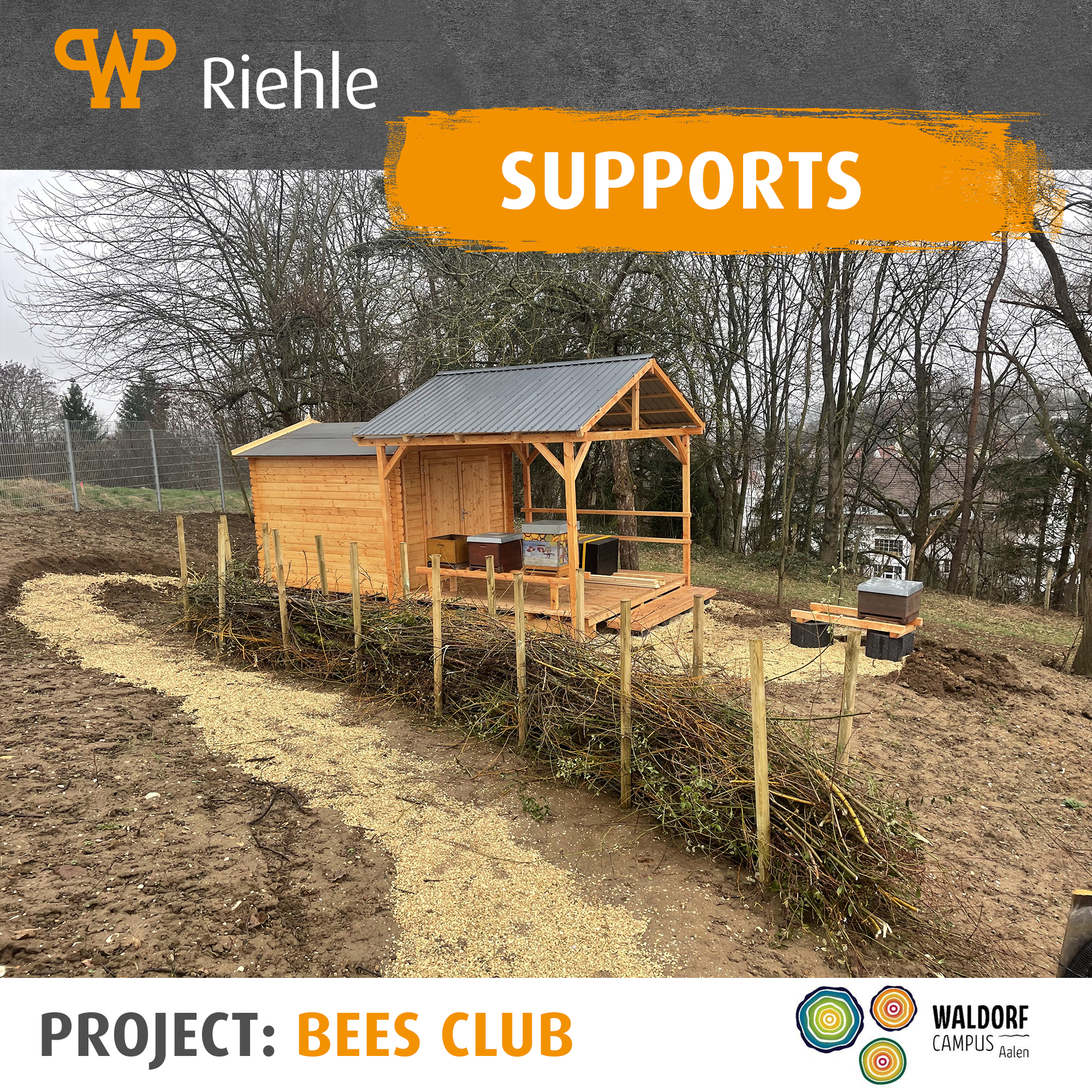 Project „Bees Club“ at the Waldorf School in Aalen Project „Bees Club“ at the Waldorf School in Aalen